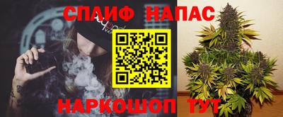 гидра Кинель