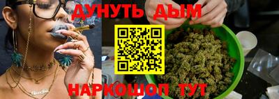 кокс Кингисепп