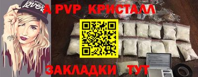 кокс Кингисепп