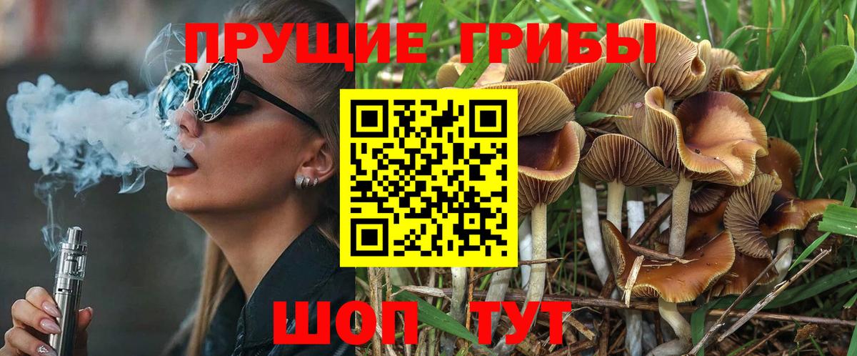 купить закладку  Вход с VPN  Кемерово  Галлюциногенные грибы MAGIC MUSHROOMS 